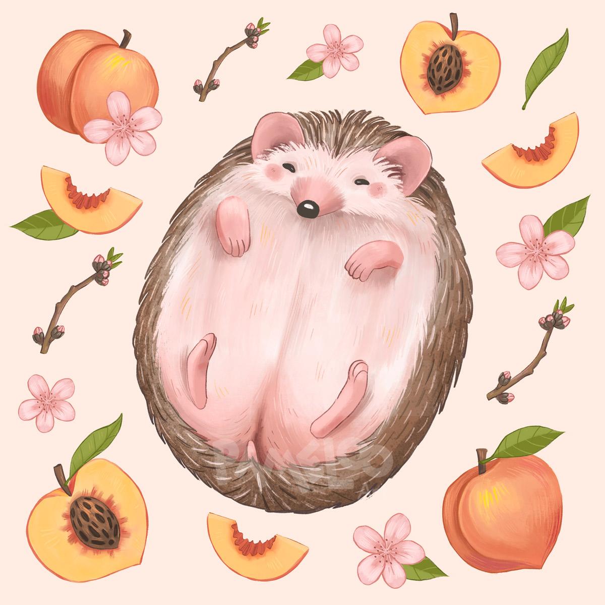 Peach Hedgehog Pattern